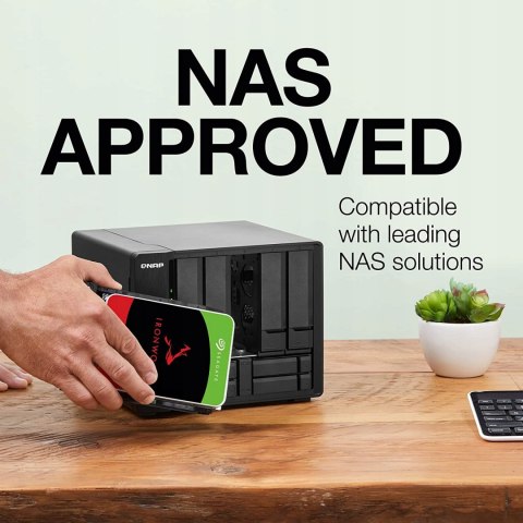 Dysk serwerowy Seagate IronWolf 6TB ST6000VN001