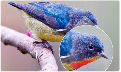 Projektor DLP Nebula Capsule II czarny ANDROID TV