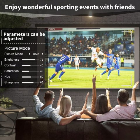 PROJEKTOR THREE ANTS Q1 FullHD 4K 250ANSI 12 000:1