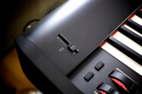 M-audio Hammer 88 - klawiatura sterująca MEGAHIT!!