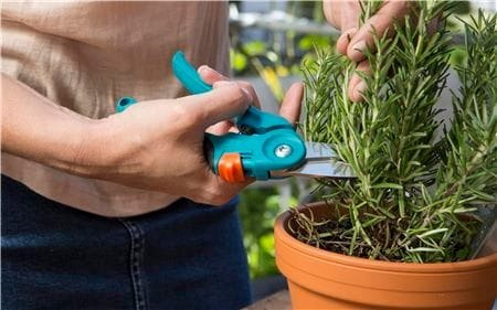 Sekatory na miejskie balkony Gardena 8707-20