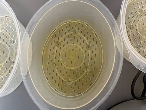 PAROWAR RUSSELL HOBBS 19270-56 800W OKAZJA HIT!