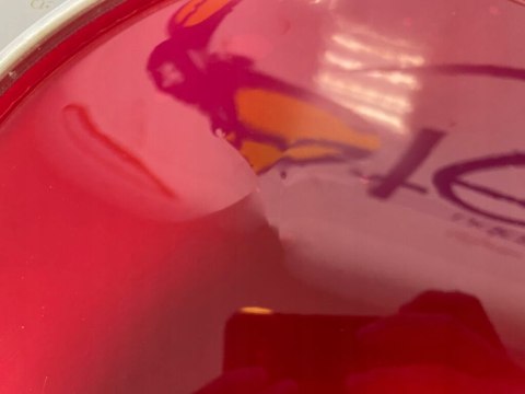 Naciąg Evans B14HR Hydraulic Red Coated Snare Futro 14