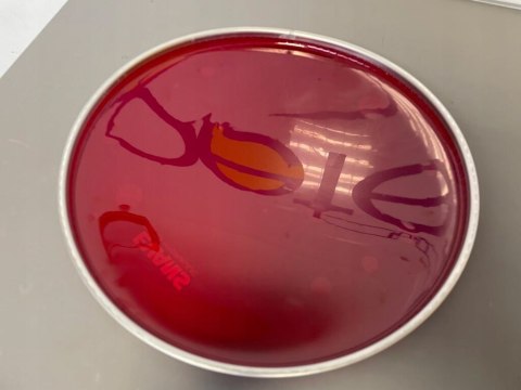 Naciąg Evans B14HR Hydraulic Red Coated Snare Futro 14