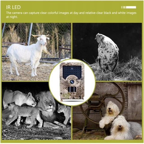 Fotopułapka PR200 Full HD 12 MPX 49 IR Kamera Leśn