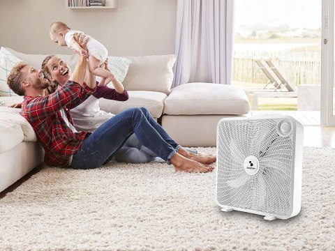 Wentylator podłogowy box fan BEPER P206VEN550 biały NOWY! MEGA OKAZJA Wentylator podłogowy box fan BEPER P206VEN550 biały NOWY! MEGA OKAZJA