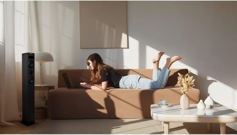 GŁOŚNIK NGS SKY CHARM 2.1 BLUETOOTH USB AUX BLACK