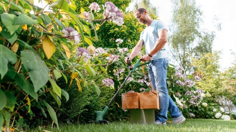 Kosa elektryczne Bosch EasyGrassCut 23 116 cm 1,9 kg 280 W