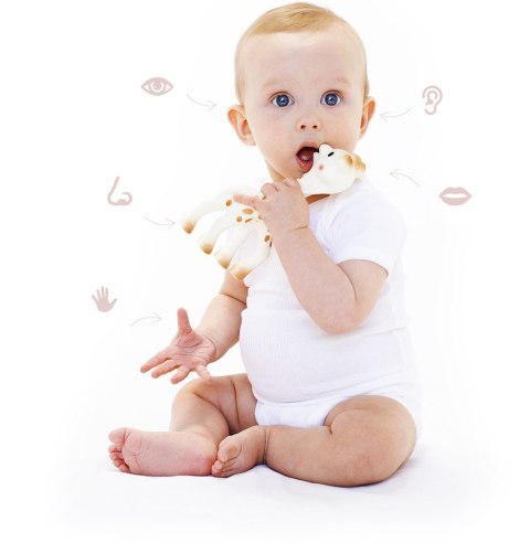 Gryzak ortodontyczny Sophie la girafe kauczuk wielokolorowy