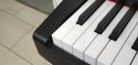 Pianina cyfrowe Alesis Recital Pro