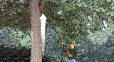 Piła łańcuchowa Black&Decker GPC1820L20-QW