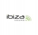 Ibiza Sound VHF4 Sam zasilacz oraz mikrofony!