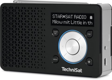Radio sieciowe TechniSat DIGITRADIO 1 DAB+, FM