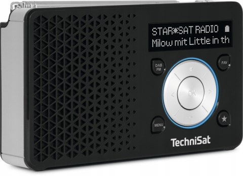 Radio sieciowe TechniSat DIGITRADIO 1 DAB+, FM