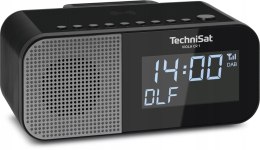 Radio sieciowe DAB+, FM TechniSat VIOLA CR 1