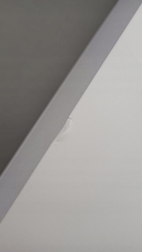 Głośnik NGS ELEC-SPK-0666 Biały 50W