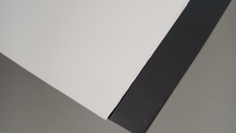 Głośnik NGS ELEC-SPK-0666 Biały 50W