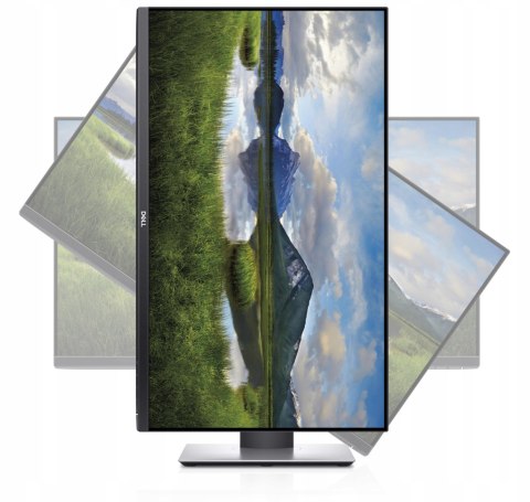 Monitor LED Dell P2719H 27 " 1920 x 1080 px IPS / PLS
