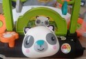 Fisher-Price DWUSTRONNY CHODZIK PANDA/387