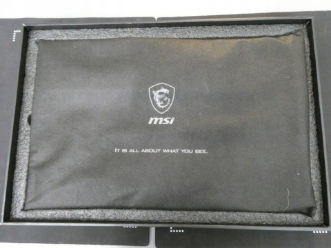 Przenośny monitor LED MSI MAG161V 15,6 " 1920 x 1080 px IPS / PLS