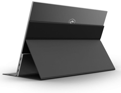 Przenośny monitor LED MSI MAG161V 15,6 " 1920 x 1080 px IPS / PLS