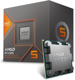 Procesor AMD Ryzen 5 8600G, 4.3 GHz, 16 MB, BOX (100-100001237BOX)