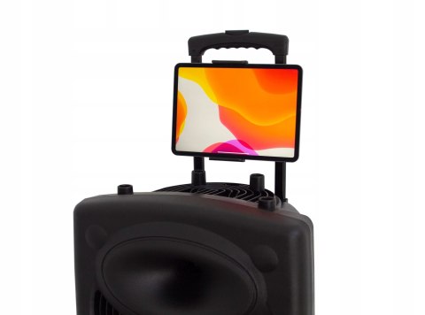 Głośniki Dynasonic DYNAPRO 12 BT USB FM MicroSD 700W