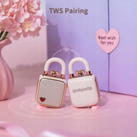 PRZENOŚNY GŁOŚNIK DIVOOM LOVE-LOCK BLUETOOTH