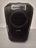 Głośnik przenośny W-King T9 PRO czarny 250 W