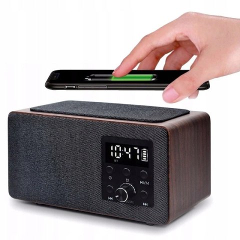 Radio sieciowe FM Manta RDI910WC