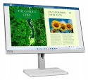 Monitor LED Lenovo L24m-40 23,8 " 1920 x 1080 px IPS / PLS