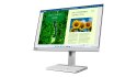 Monitor LED Lenovo L24m-40 23,8 " 1920 x 1080 px IPS / PLS