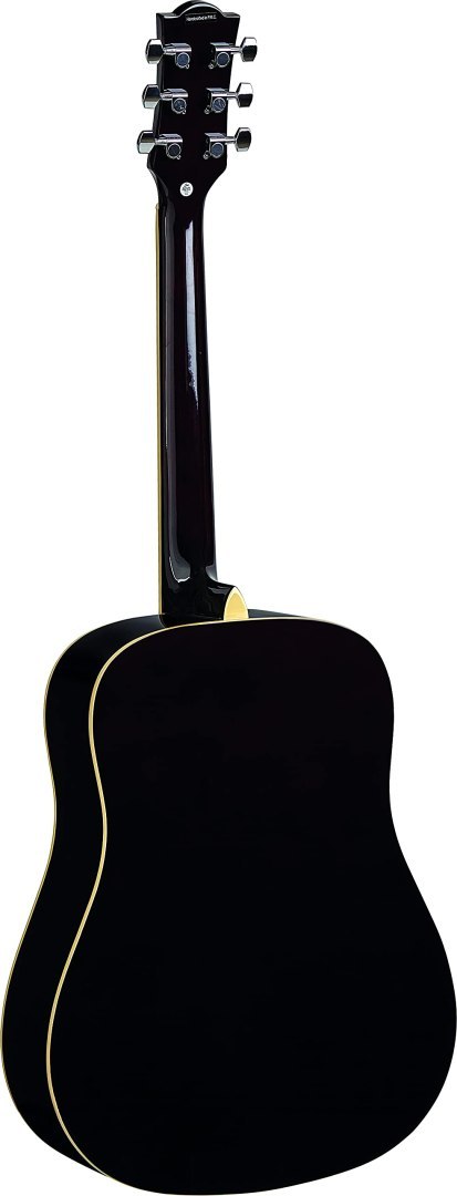 Ranger 6 Natural Eko guitars Natural