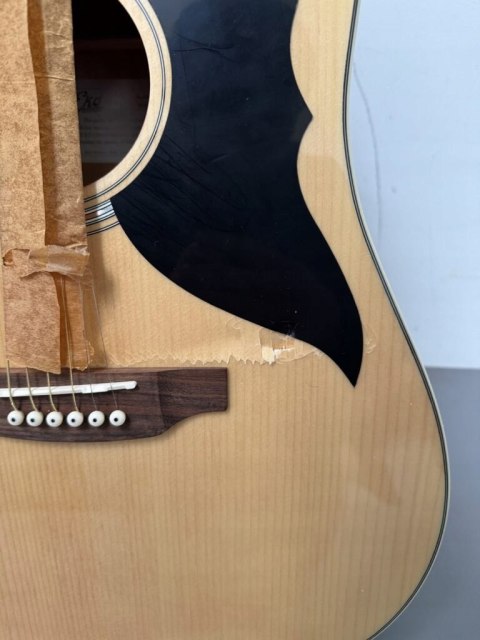 Ranger 6 Natural Eko guitars Natural