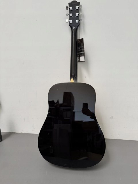 Ranger 6 Natural Eko guitars Natural