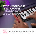 AKAI Professional LPK25 - Klawiatura USB MIDI AKAI Professional LPK25 - Klawiatura USB MIDI