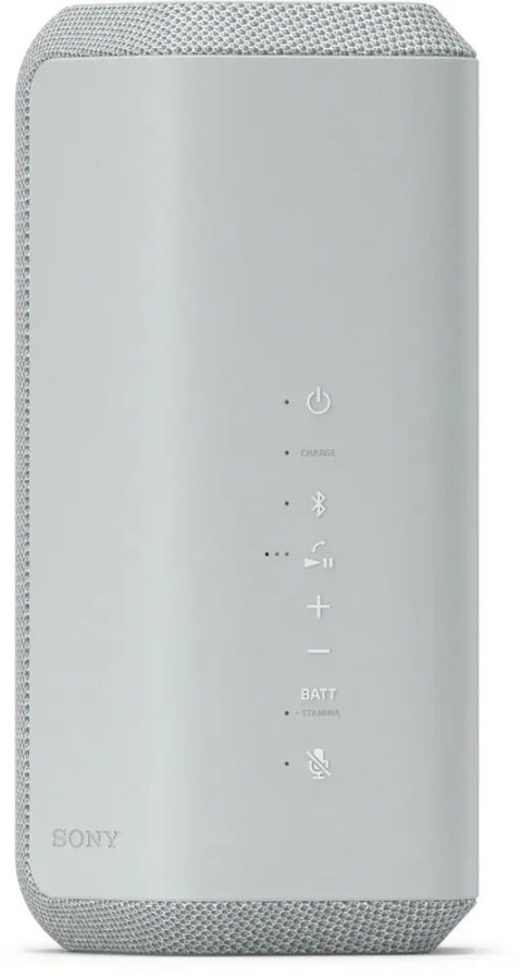 Głośnik przenośny SONY SRS-XE300 _ szary
