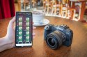 Aparat cyfrowy Canon EOS R8 body