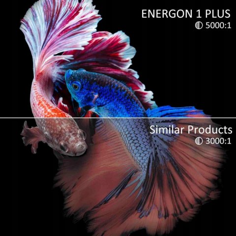 Projektor Artlii Energon 1 PLUS NATYWNE FHD Projektor Artlii Energon 1 PLUS NATYWNE FHD
