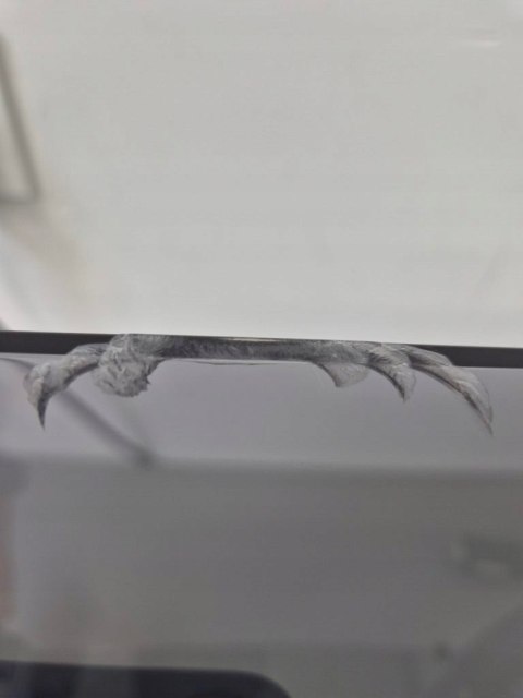 GRAMOFON SONY PS-LX310BT AUTOMATYCZNY BLACK