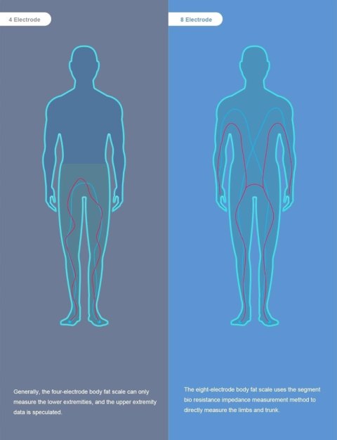 Waga łazienkowa Healthkeep Smart professional Body