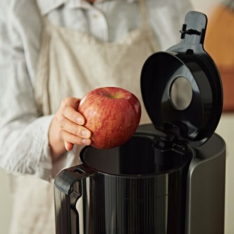 Wyciskarka wolnoobrotowa pionowa Hurom H200 200 W