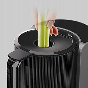 Wyciskarka wolnoobrotowa pionowa Hurom H200 200 W