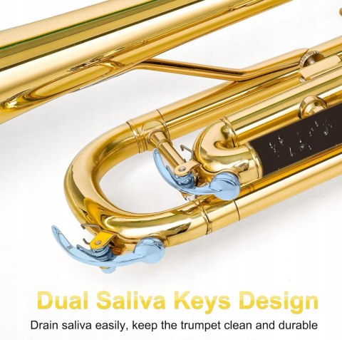 Trąbka Vangoa VTB-1