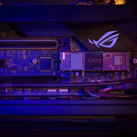 Dysk SSD Western Digital SN750 SE 500GB M.2 PCIe