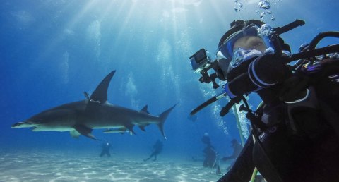 Obudowa wodoodporna GoPro HERO 8 Black AJDIV-001