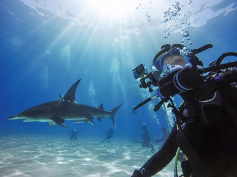 Obudowa wodoodporna GoPro HERO 8 Black AJDIV-001