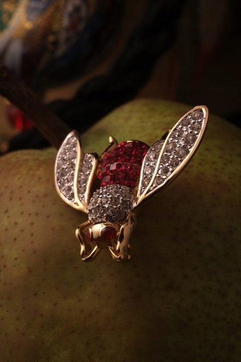 Fujifilm Fujinon Xf 60 mm F2,4 R obiektyw makro