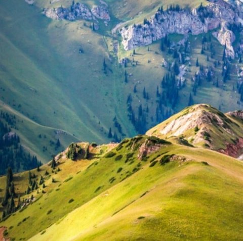 NAWIGACJA ROWEROWA MIO CYCLO 210