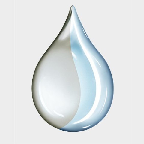 Parownica profesjonalna Kärcher SG 4/4 1.092-104.0